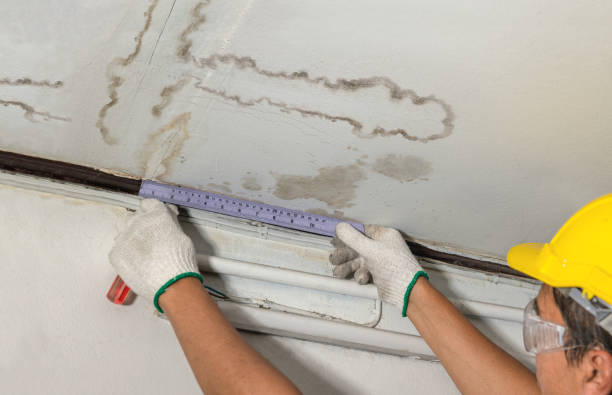 Affordable Water Damage Repair solutions in Willis, MI
